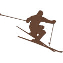 Snow Skiing