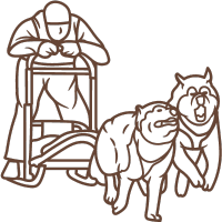 Dogsledding
